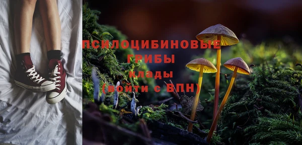 PSILOCYBIN Верея